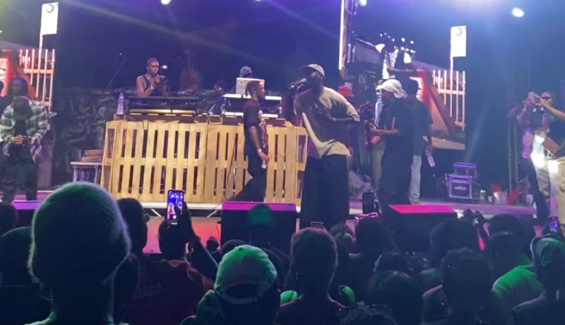 An Artist at a concert